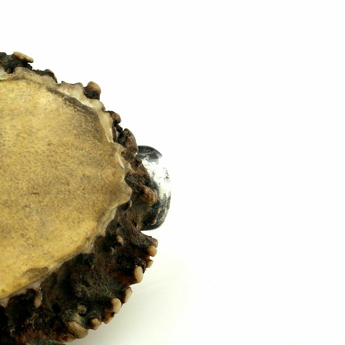 Antique Austrian Solid Silver & Stag Antler Cigar Cutter & Ashtray - Circa. 1900
