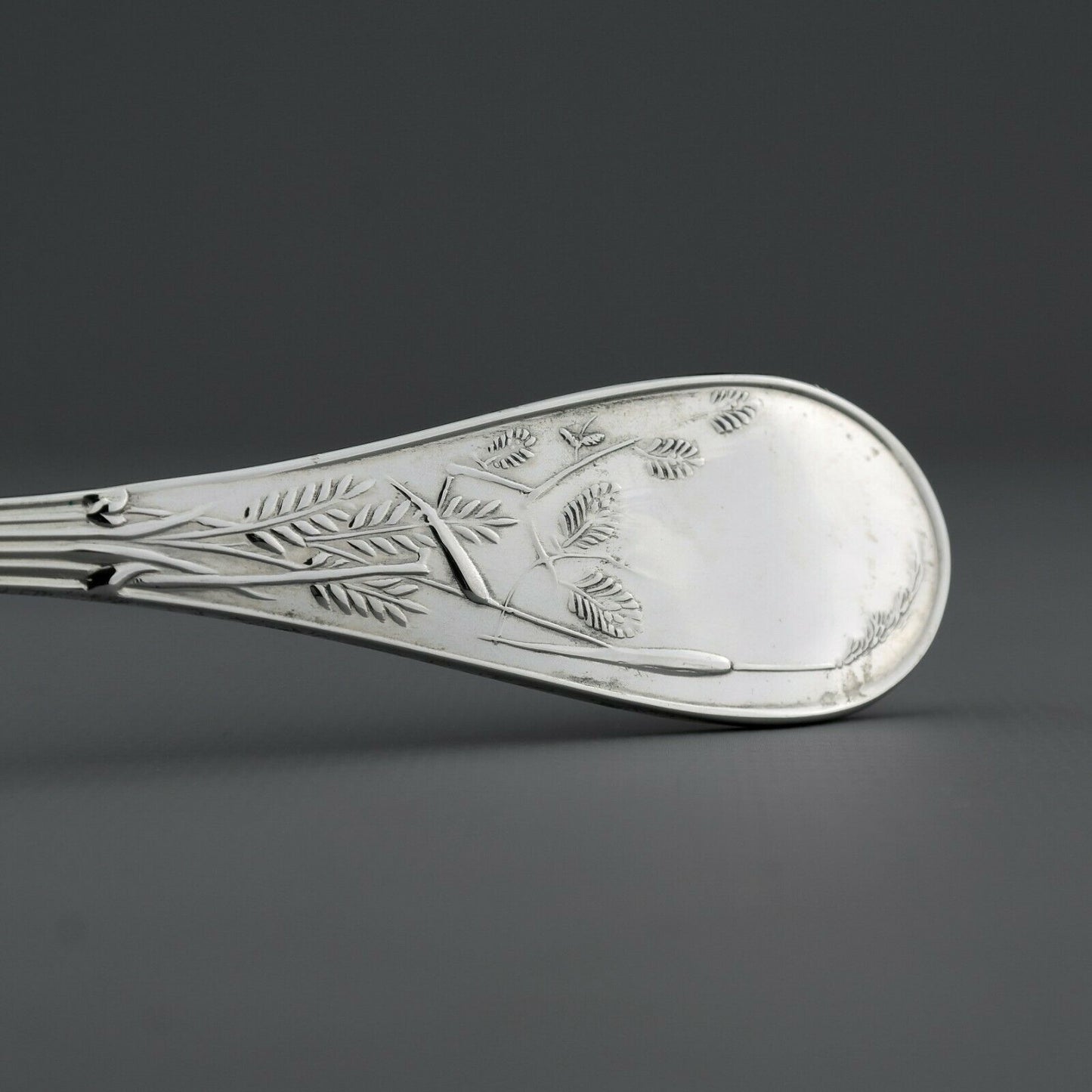 Tiffany Japanese style Audubon Pattern Sterling Silver Serving Spoon and Fork #1